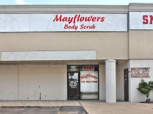 Mayflowers